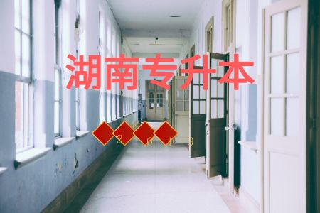 湖南專(zhuān)升本