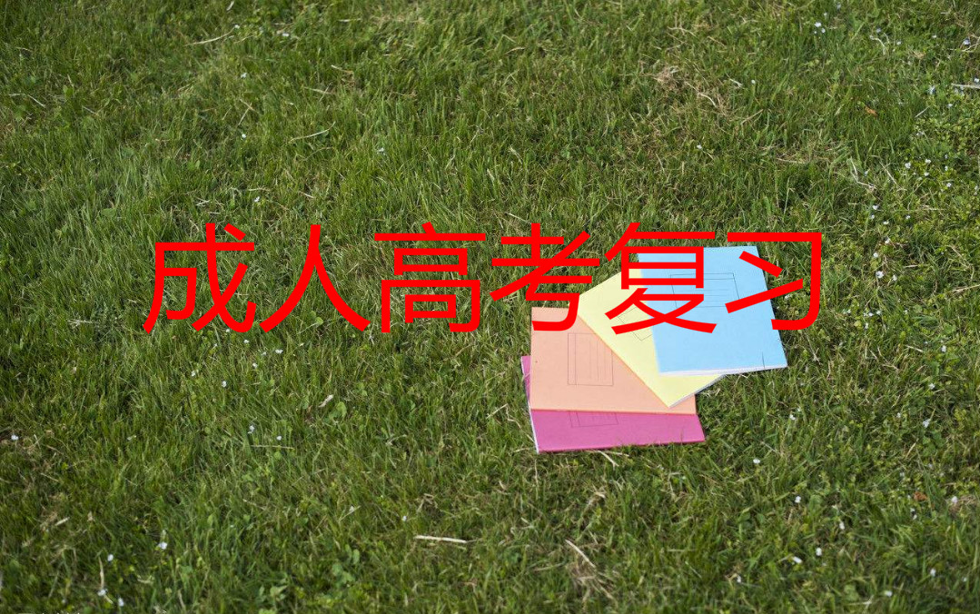 專升本政治怎樣復習